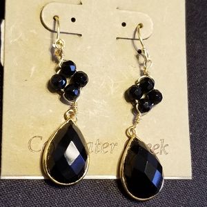 Coldwater Creek hanging earrings!